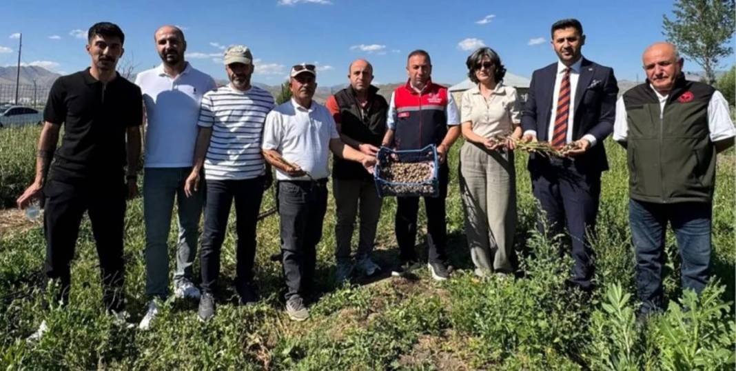 Yüksekova alternatif tarımda rekora koşuyor: Bir yumrudan dört kat ürün çıktı 9